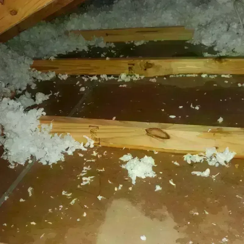 Attic Water Damage in Seymour, TX