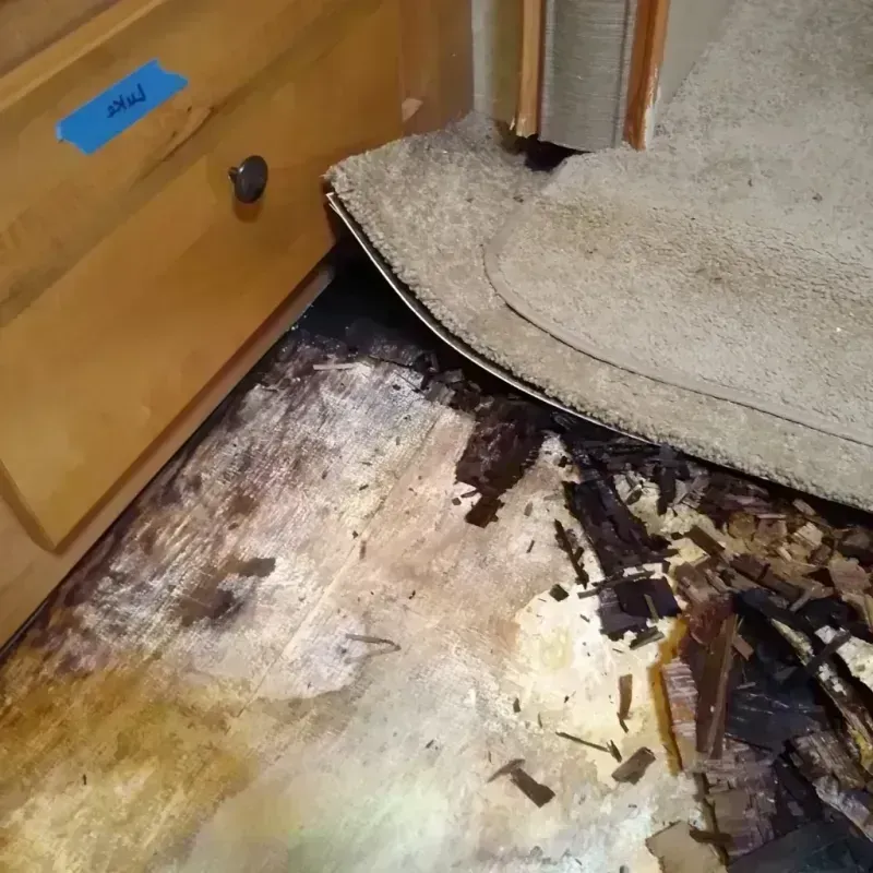 Wood Floor Water Damage in Seymour, TX